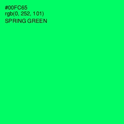 #00FC65 - Spring Green Color Image